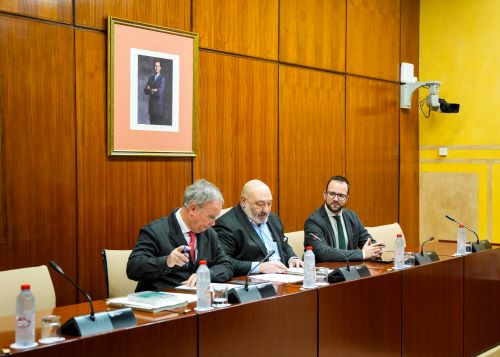  El letrado de la comisi�n de Universidad, Francisco J. Ruiz Burs�n, asesora a la Mesa de la Comisi�n en la tramitaci�n del Dictamen sobre el Proyecto de Ley Universitaria para Andaluc�a.