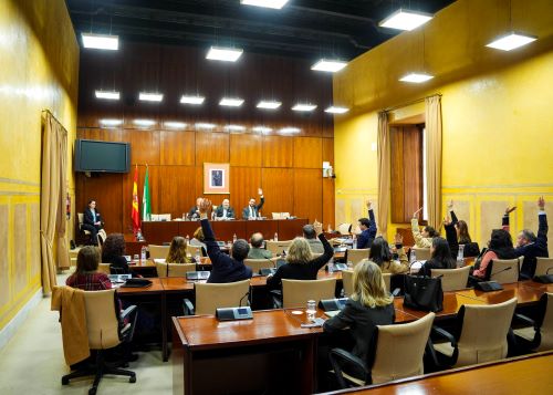 fotograf�a id:64564