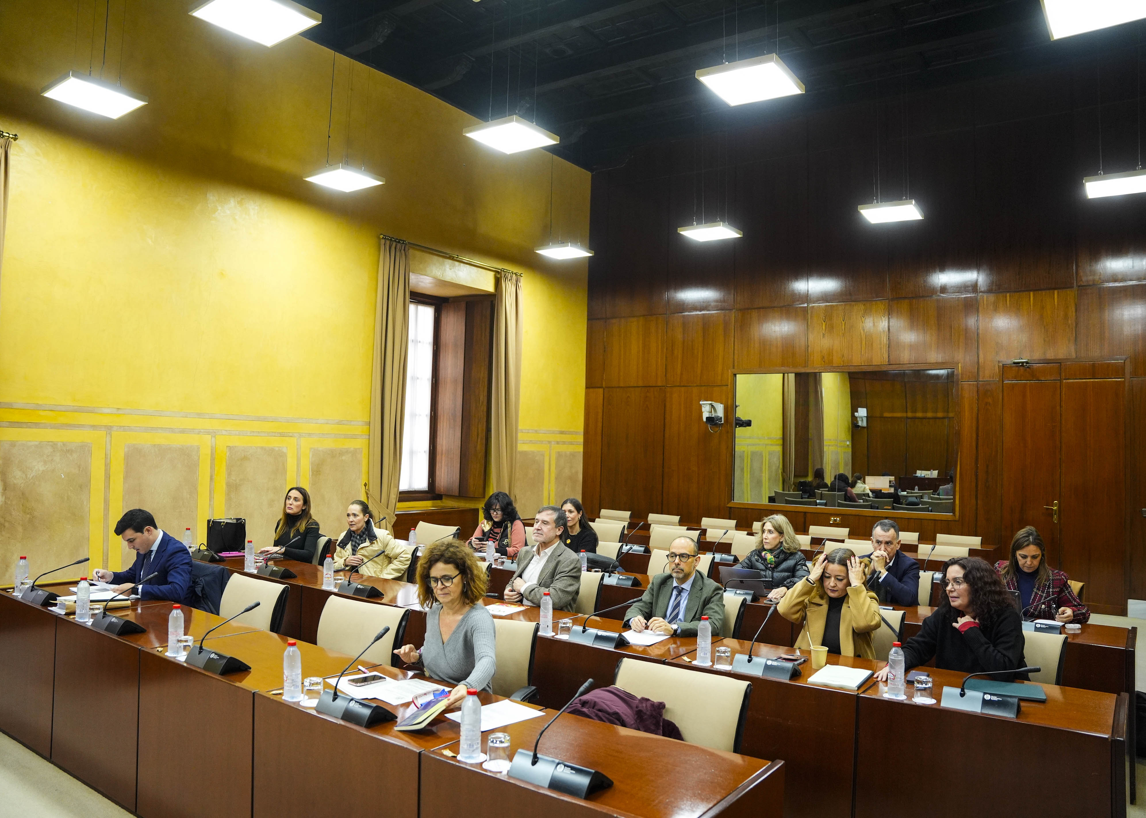  La comisi�n de Universidad, Investigaci�n e Innovaci�n debate el dictamen sobre el Proyecto de Ley Universitaria para Andaluc�a.