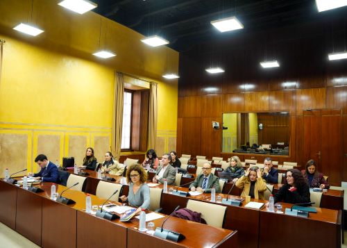  La comisi�n de Universidad, Investigaci�n e Innovaci�n debate el dictamen sobre el Proyecto de Ley Universitaria para Andaluc�a.