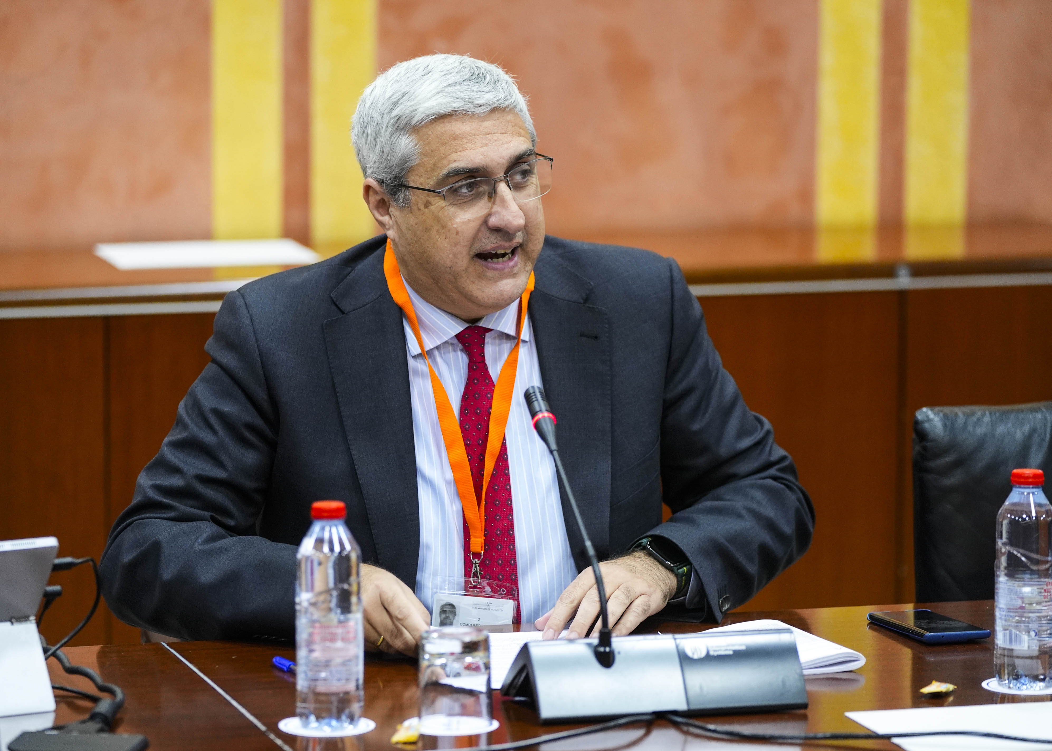 Luis Pic�n, director de relaciones internacionales de la Confederaci�n de Empresarios de Andaluc�a (CEA) durante su comparecencia