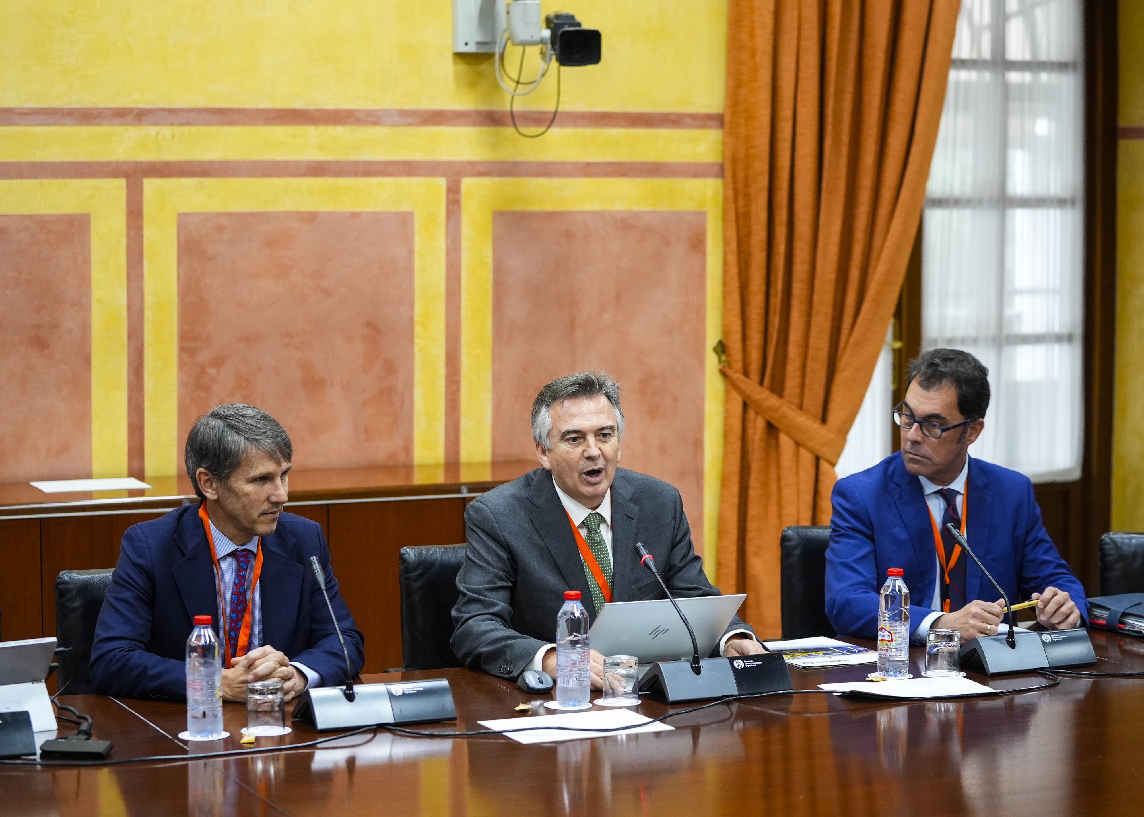  Inician la sesi�n de tarde Pedro Marin, Javier Hidalgo y David Pi�edo en representaci�n del Cl�ster Empresarial Andaluz del Biometano 