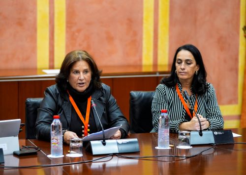 Esperanza Fitz y Victoria Cabrera intervienen en representaci�n de la Asociaci�n Andaluza de Mujeres Empresarias del Sector del Medio Ambiente (ANSEMAC)