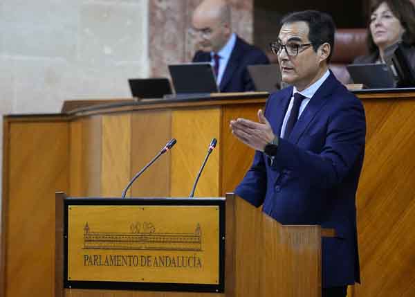  Antonio Nieto, consejero de Justicia, Administraci�n Local y Funci�n P�blico, explica el Proyecto de Ley del Colegio Profesional de Pedagog�a y Psicopedagog�a de Andaluc�a