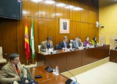 Mesa de la Comisi�n de Industria con el consejero competente en la materia, Jorge Paradela  