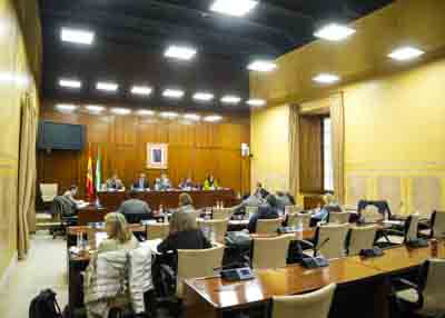 Comisi�n de Industria, Energ�a y Minas con el consejero titular  