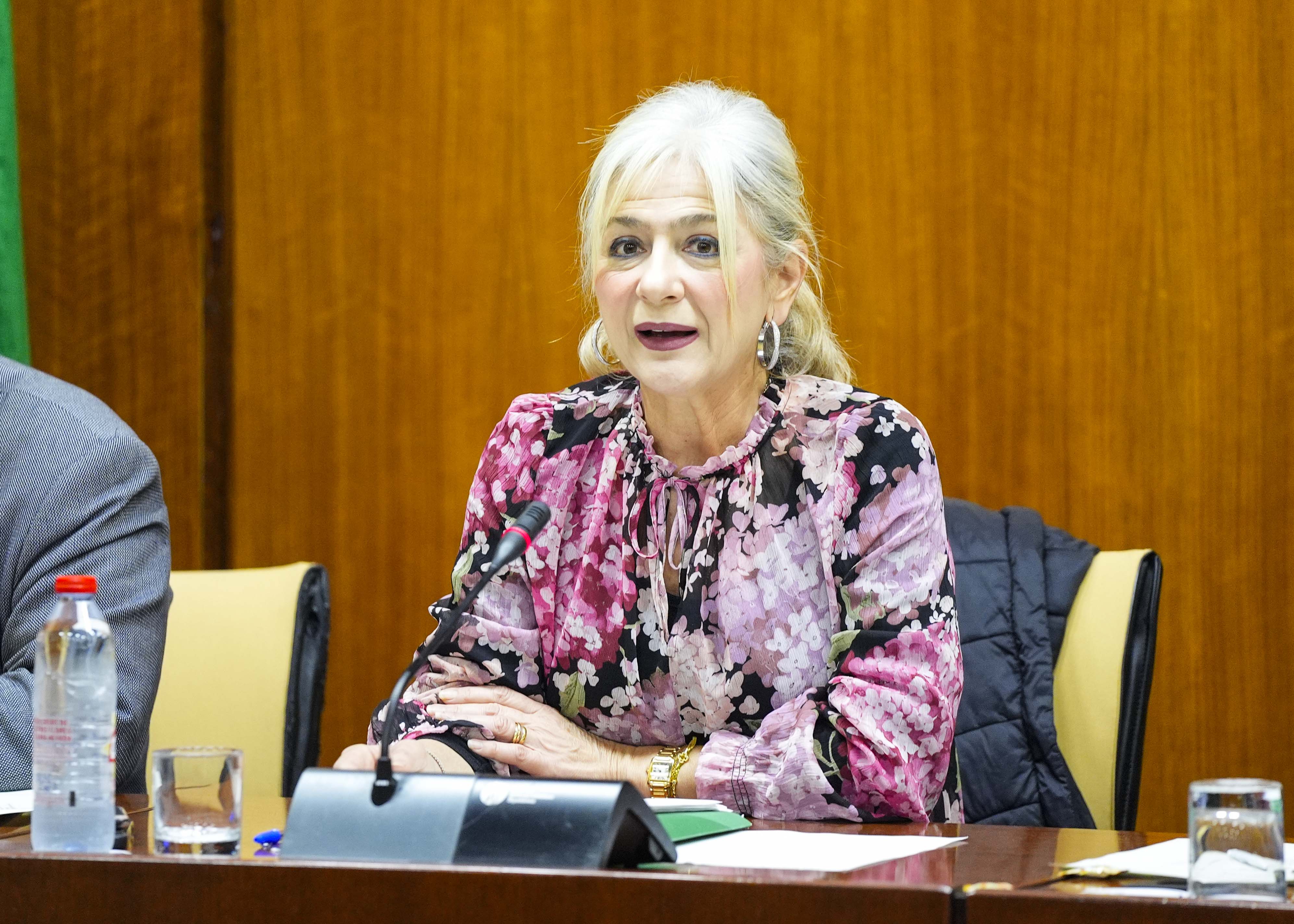  Patricia del Pozo, consejera de Cultura y Deporte, comparece en la comisi�n de su competencia