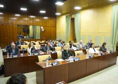 Los miembros de la Comisi�n de Cultura y Deporte al inicio de la comparecencia de la consejera 