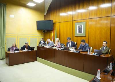 Mesa de la Comisi�n de Cultura y Deporte con Patricia del Pozo, consejera titular 