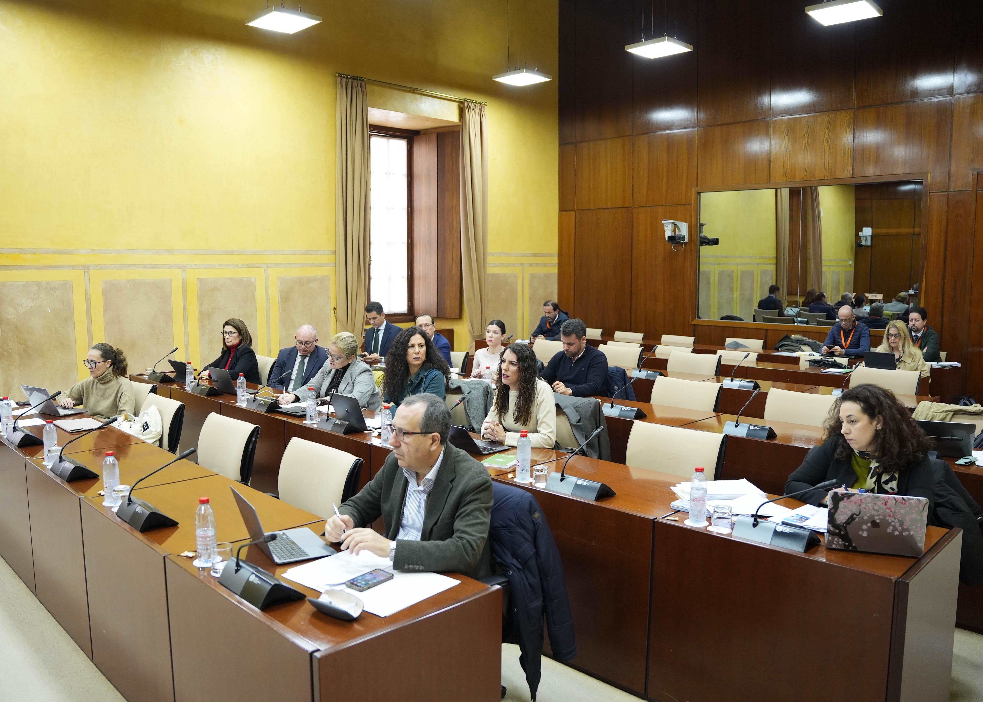 Diputados de la Comisi�n de Inclusi�n Social, Juventud, Familias e Igualdad siguen la comparecencia de la consejera 