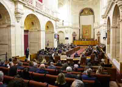 Imagen del Pleno durante la lectura de la Declaraci�n Institucional 
