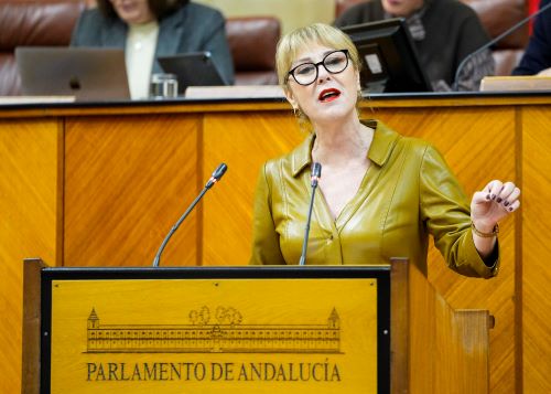  La consejera de Econom�a, Hacienda, Fondos Europeos y Di�logo Social, Carolina Espa�a, interviene en la interpelaci�n relativa a financiaci�n auton�mica