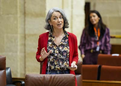   Miren Bego�e Iza, del Grupo Mixto-Adelante Andaluc�a, pregunta sobre los empleos en AYESA