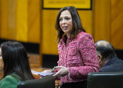  Roc�o D�az, consejera de Fomento, Articulaci�n del Territorio y Vivienda, responde a la cuesti�n de su competencia 