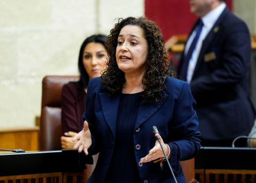  Inmaculada Nieto, portavoz de Por Andaluc�a, dirige su pregunta al presidente relativa a relativa a la acci�n del Gobierno en el final de la legislatura