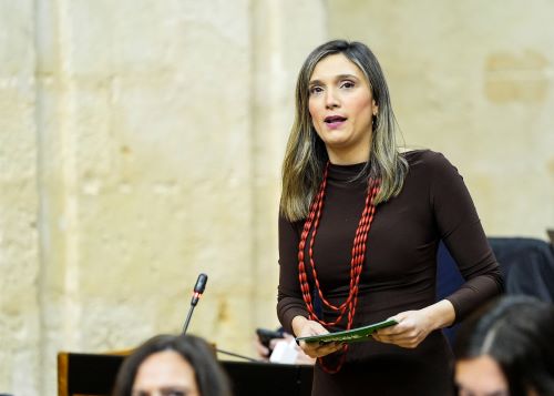  La portavoz del Grupo Socialista, Mar�a M�rquez, formula su pregunta de control relativa al impacto de las acciones del gobierno andaluz.