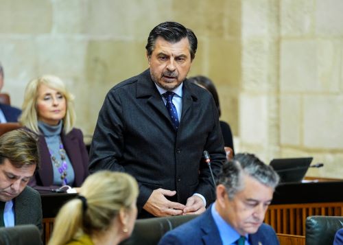  El portavoz del Grupo Popular, Antonio Mart�n, dirige su pregunta al presidente relativa a pol�ticas del Gobierno ante los desaf�os de Andaluc�a