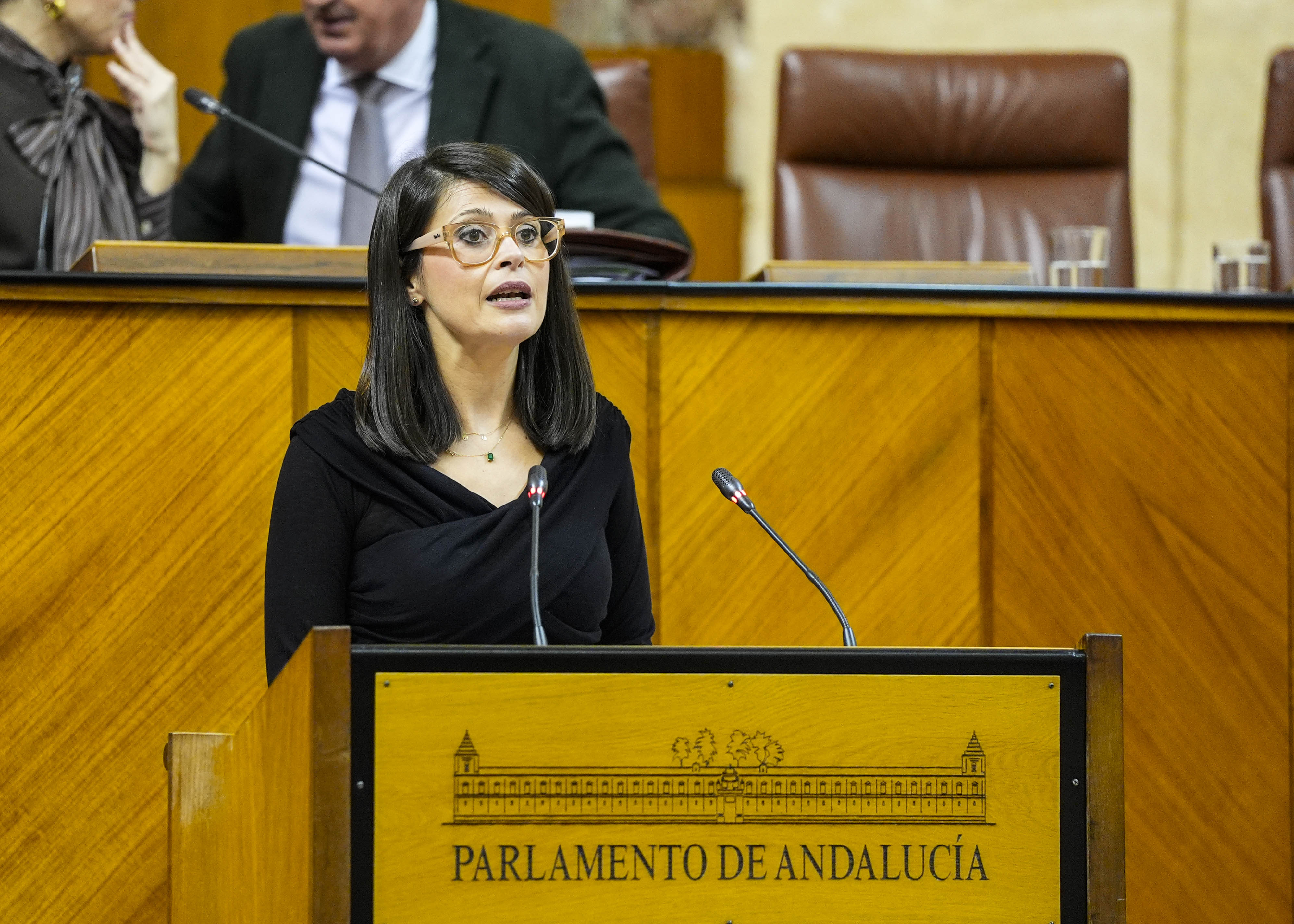  �ngeles Mart�nez, del Grupo Popular, interviene ante el Pleno