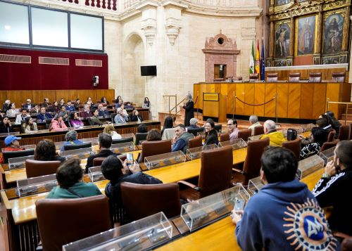  Los ciudadanos atienden a las explicaciones en el Sal�n de Plenos