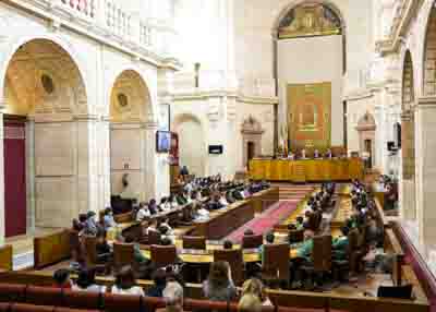  El sal�n de plenos durante la actividad "Diputados por un d�a", de Aldeas Infantiles 