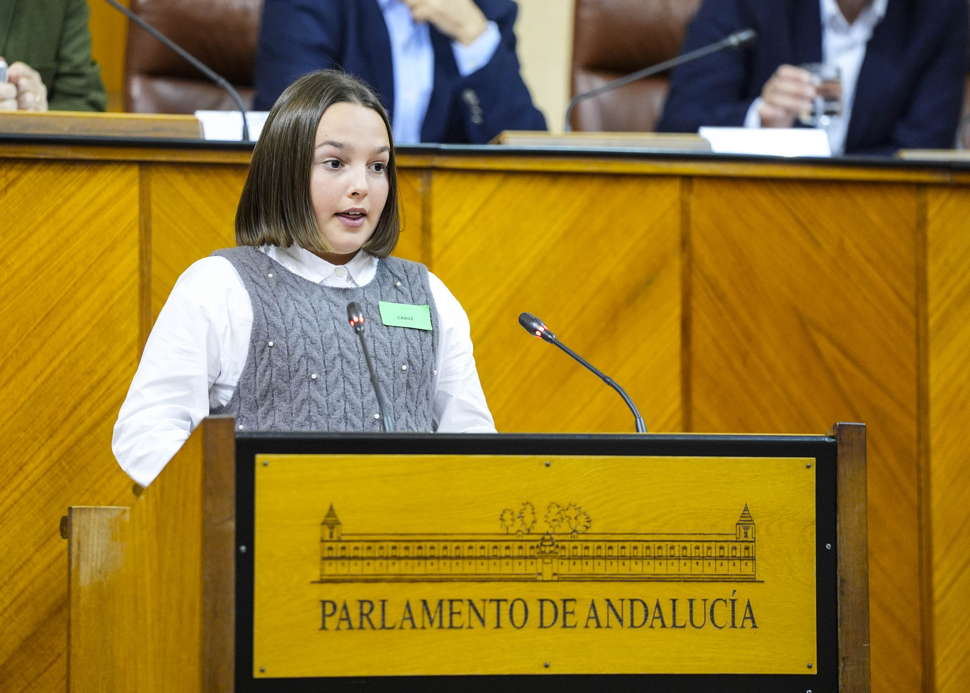 La representante de C�diz durante su intervenci�n  