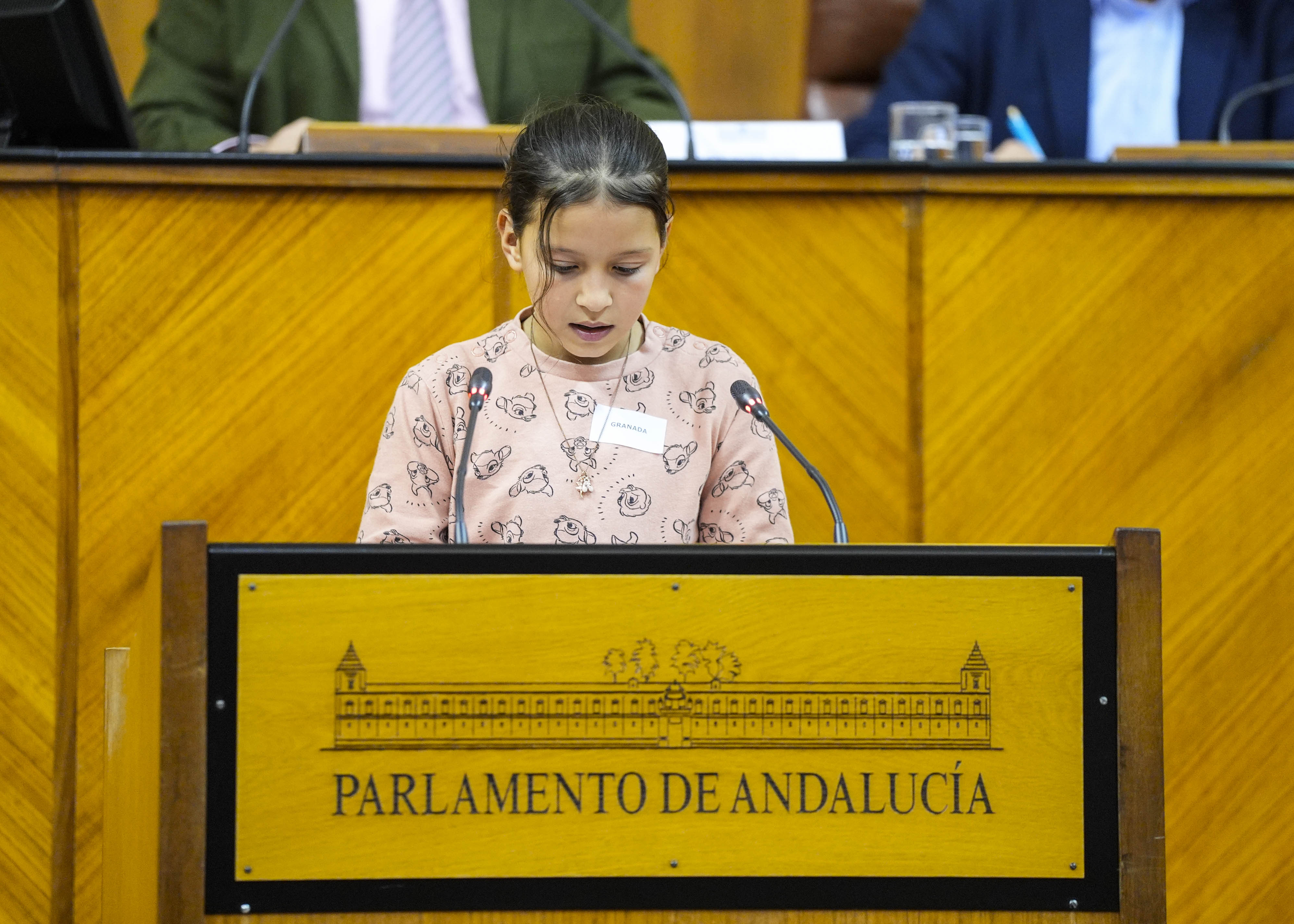 La portavoz de Granada toma la palabra  