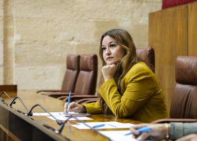  La diputada del Grupo Socialista, Ver�nica P�rez