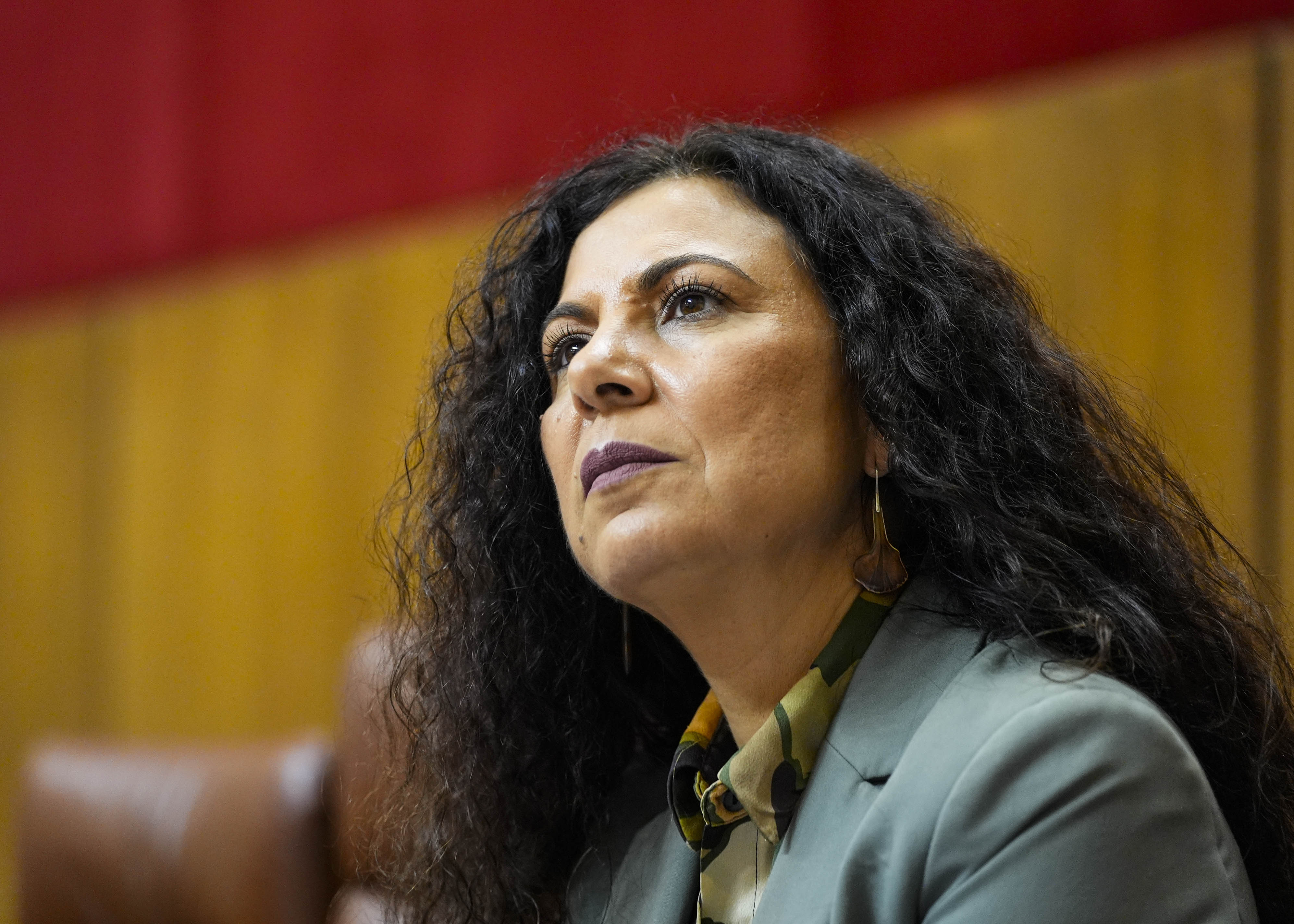 Ana Mar�a Ruiz, diputada del Grupo Vox 