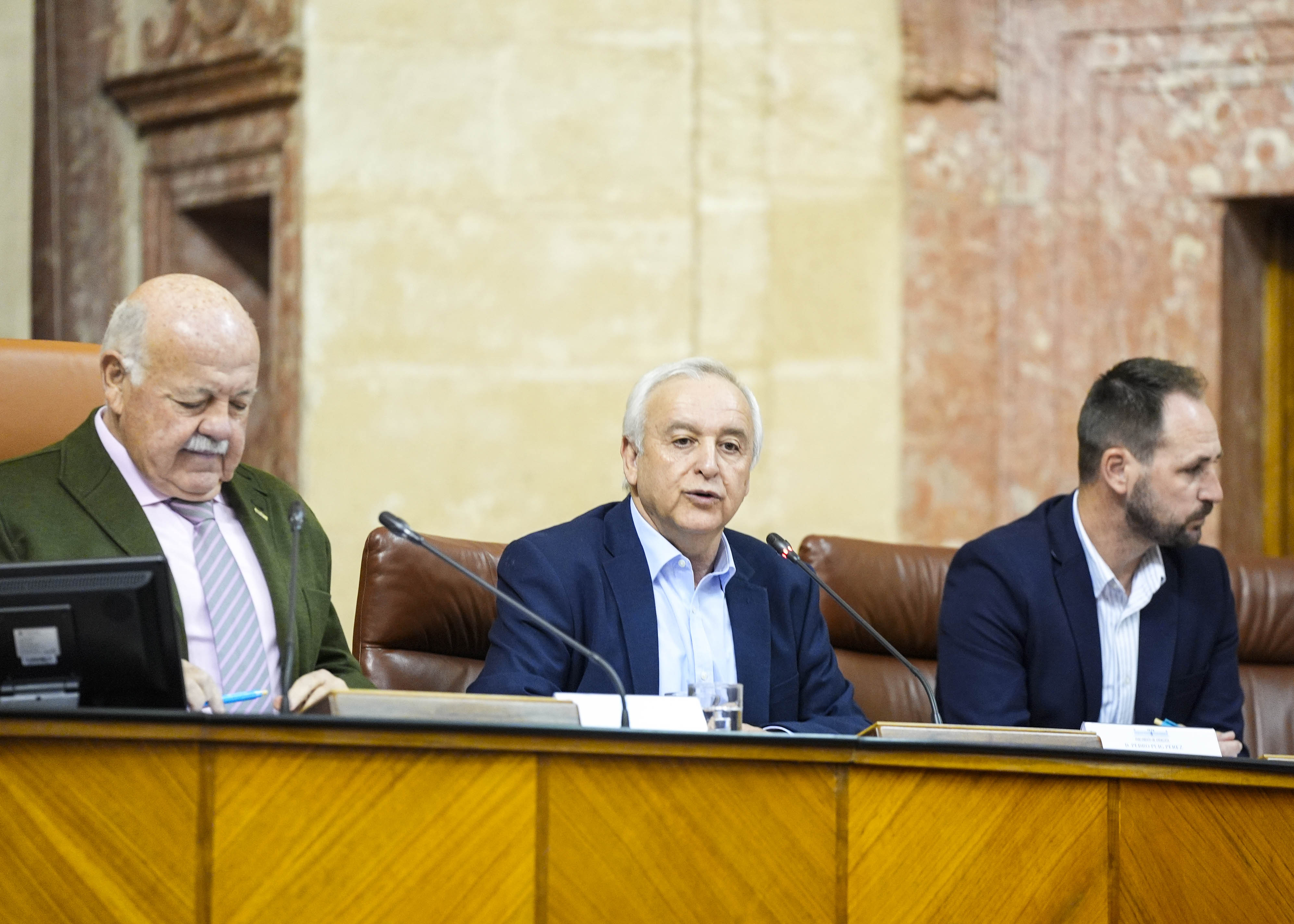 El presidente del Parlamento, Jes�s Aguirre, inicia la sesi�n del pleno infantil 