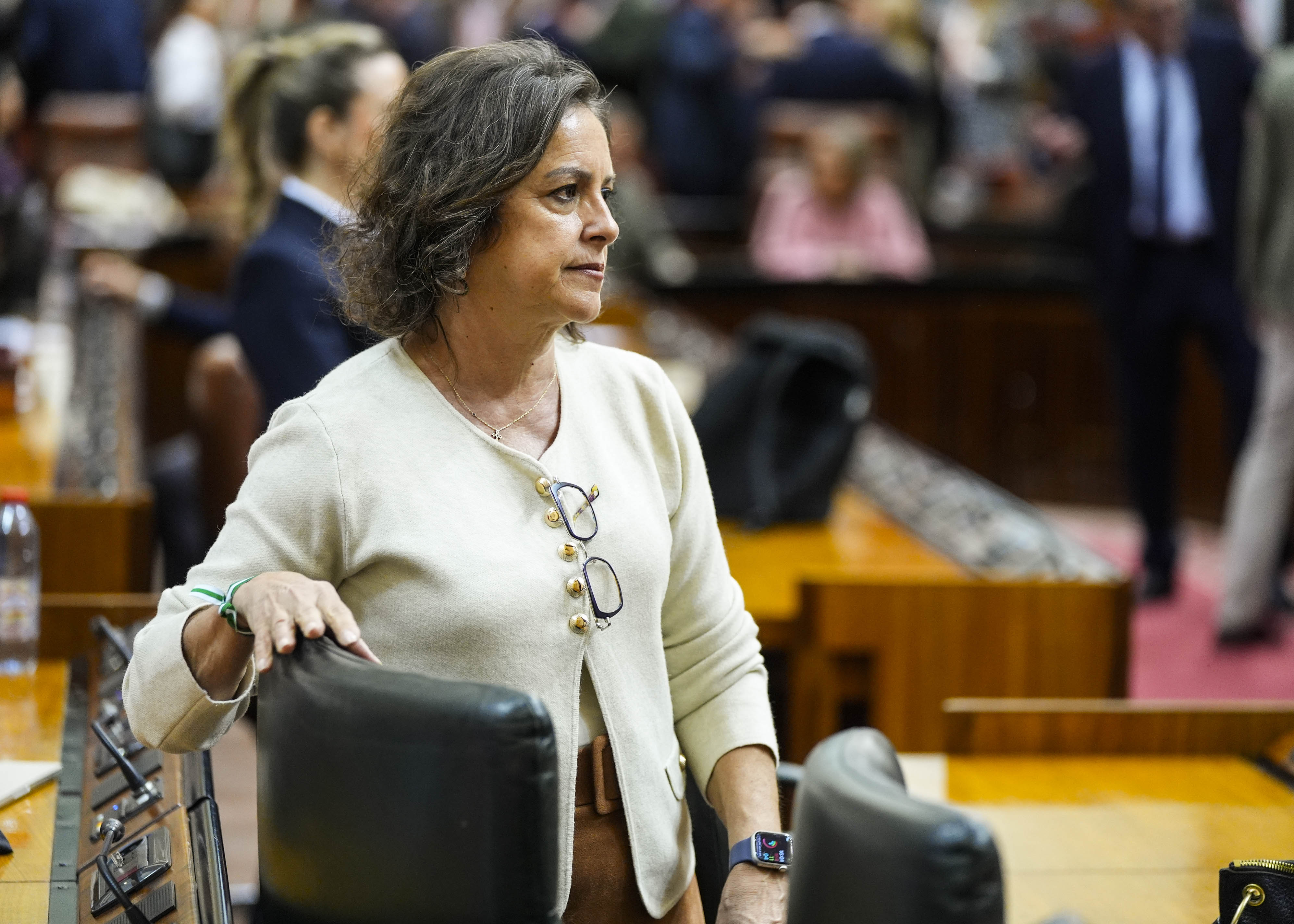 Catalina Garc�a, consejera de Sostenibilidad y Medio Ambiente 
