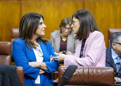 Mar�a de los �ngeles F�rriz y Mar�a del Pilar Navarro, del Grupo Socialista 