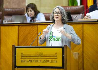 Miren Bego�e Iza, presidenta del G.P. Mixto-Adelante Andaluc�a, inicia el debate final del Proyecto de Ley para la Gesti�n Ambiental de Andaluc�a  