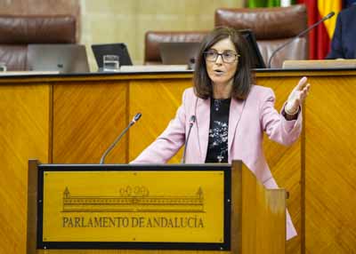 Mar�a del Pilar Navarro posiciona al Grupo Parlamentario Socialista en el debate del proyecto de ley   