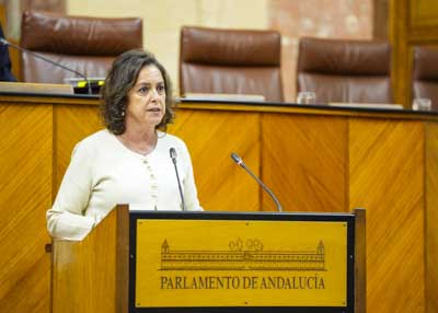    La consejera de Sostenibilidad y Medio Ambiente, Catalina Garc�a, cierra el debate final del Proyecto de Ley para la Gesti�n Ambiental de Andaluc�a 