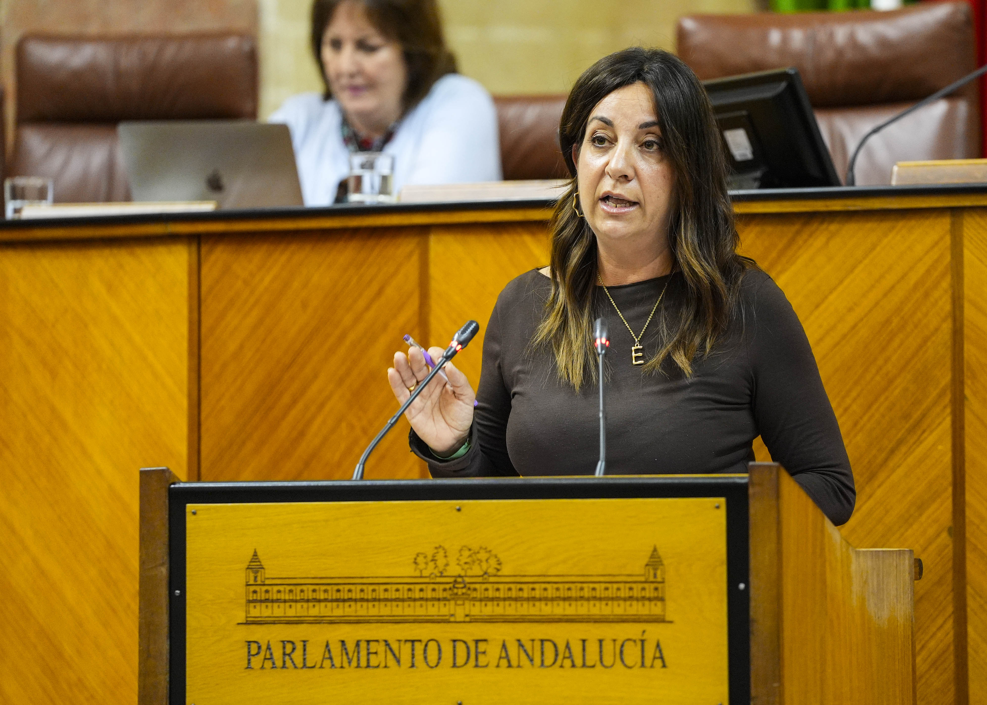 Encarnaci�n Mar�a Mart�nez toma la palabra para posicionar al G.P. Socialista respecto del proyecto de ley 