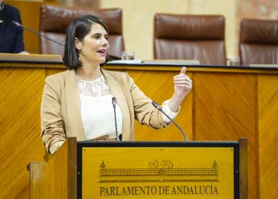  Interviene la diputada del Grupo Popular Araceli Cabello