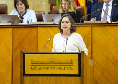 Catalina Garc�a, consejera de Sostenibilidad y Medio Ambiente, durante una de sus intervenciones