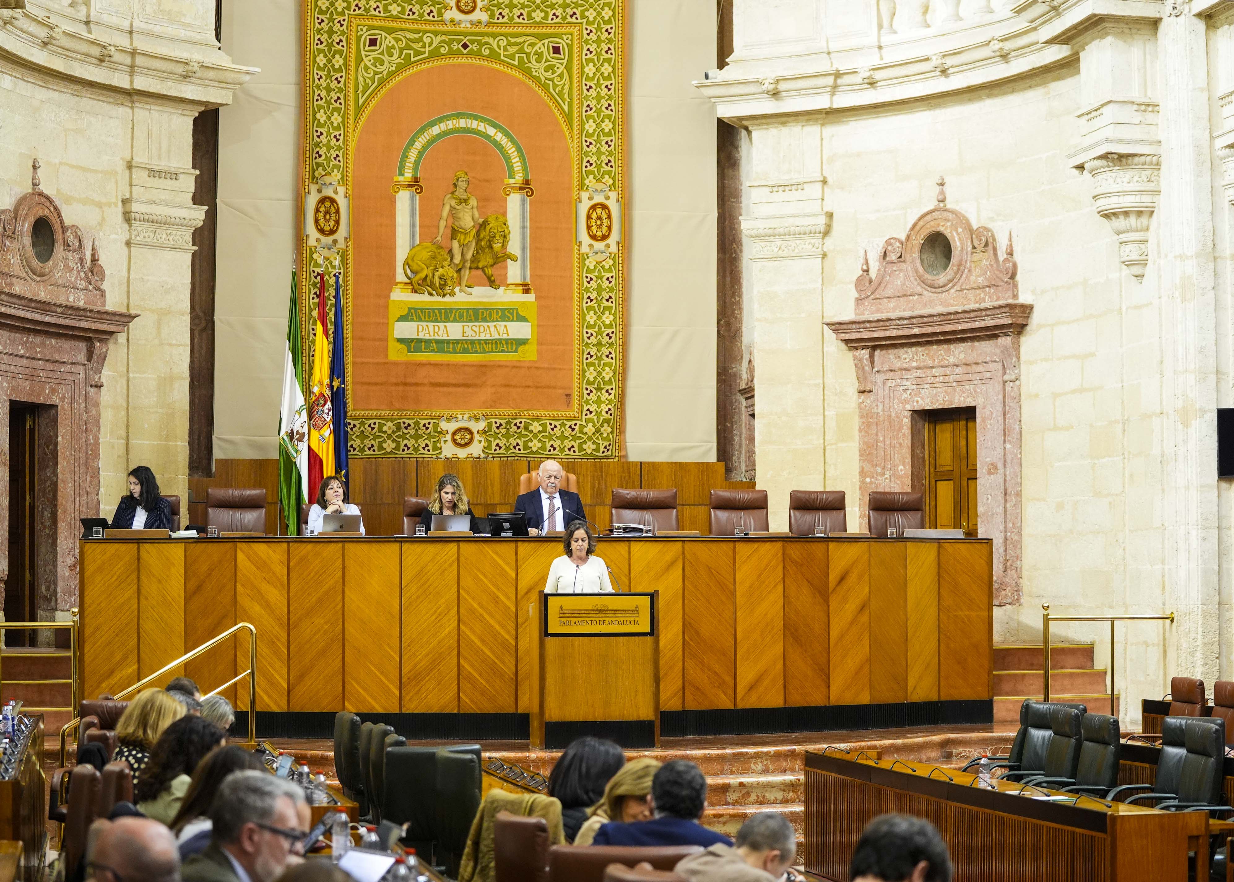 El Pleno del Parlamento de Andaluc�a durante la intervenci�n de la consejera de Sostenibilidad y Medio Ambiente 