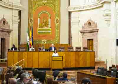 El Pleno del Parlamento de Andaluc�a durante la intervenci�n de la consejera de Sostenibilidad y Medio Ambiente 