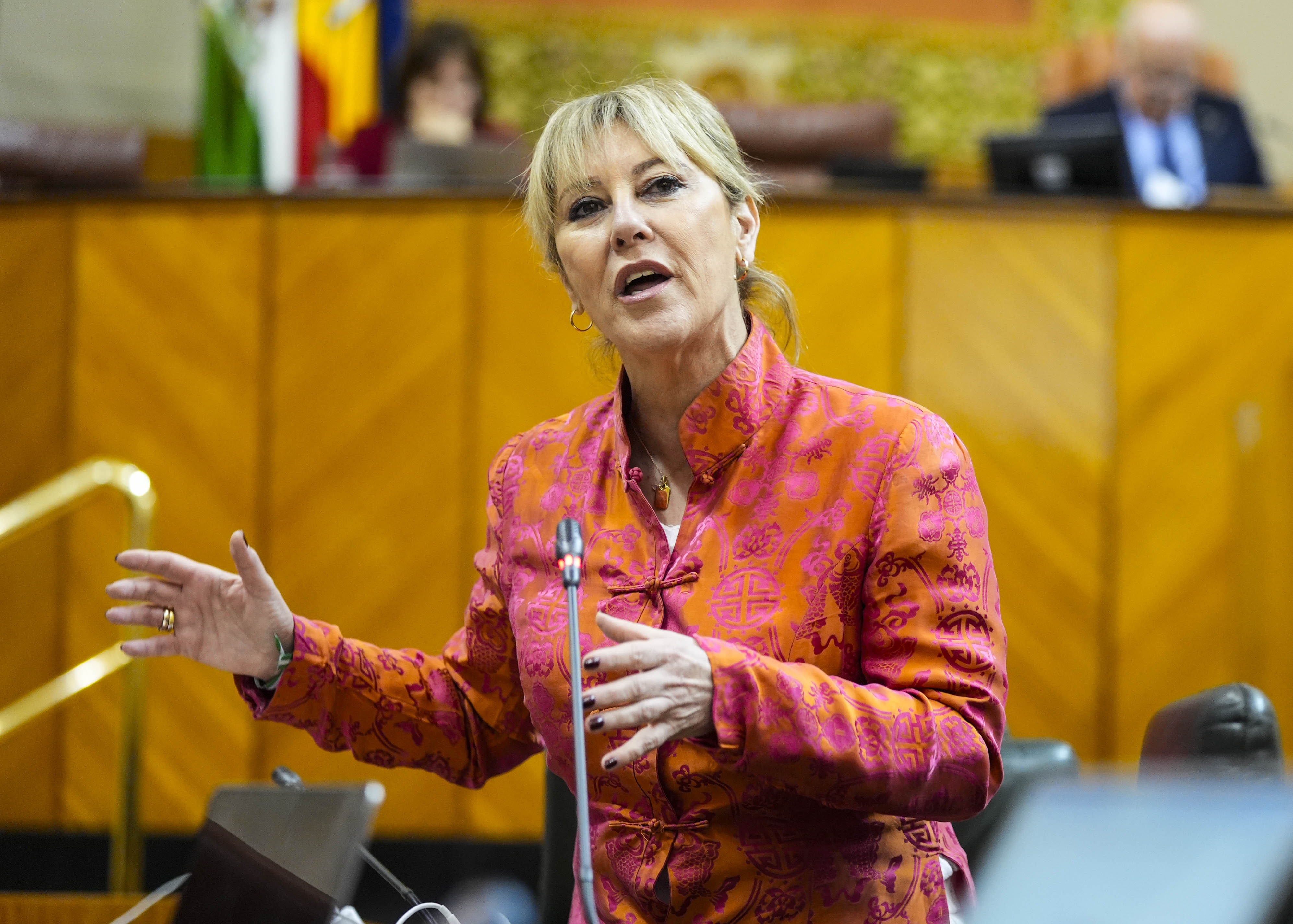 Carolina Espa�a, consejera de Econom�a, Hacienda, Fondos Europeos y Di�logo Social, da respuesta a la pregunta  