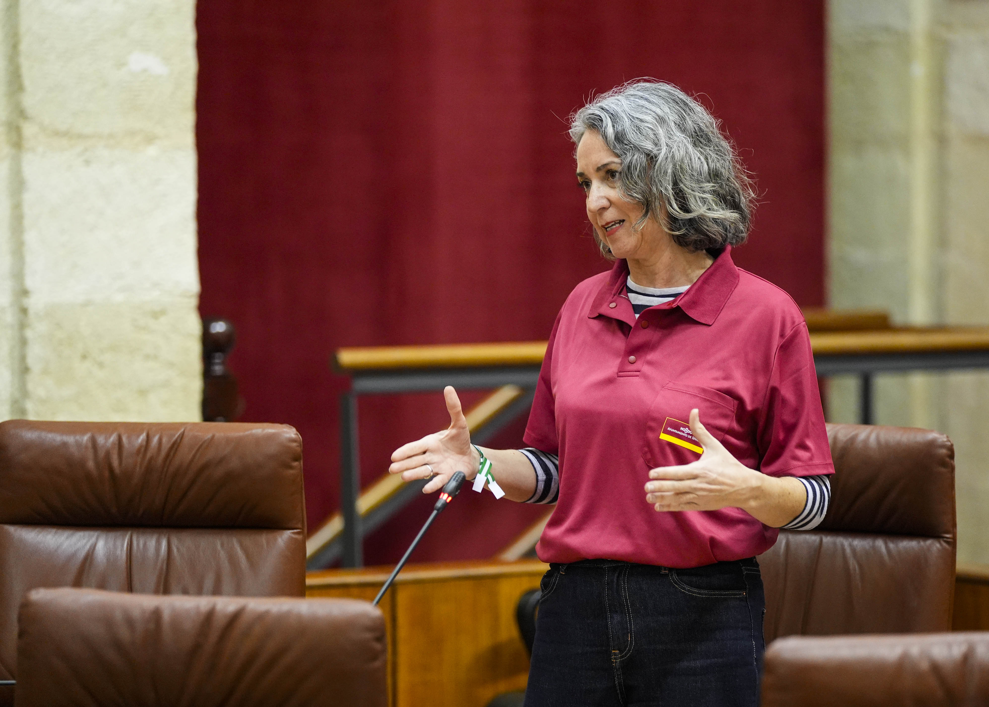 Miren Bego�e Iza, presidenta del G.P. Mixto-Adelante Andaluc�a, pregunta sobre las infraestructuras y limpieza en los centros educativos de Sevilla 