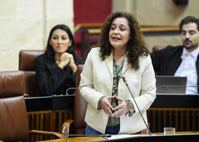 Inmaculada Nieto, portavoz del G.P. Por Andaluc�a, pregunta al presidente de la Junta sobre el autogobierno de Andaluc�a