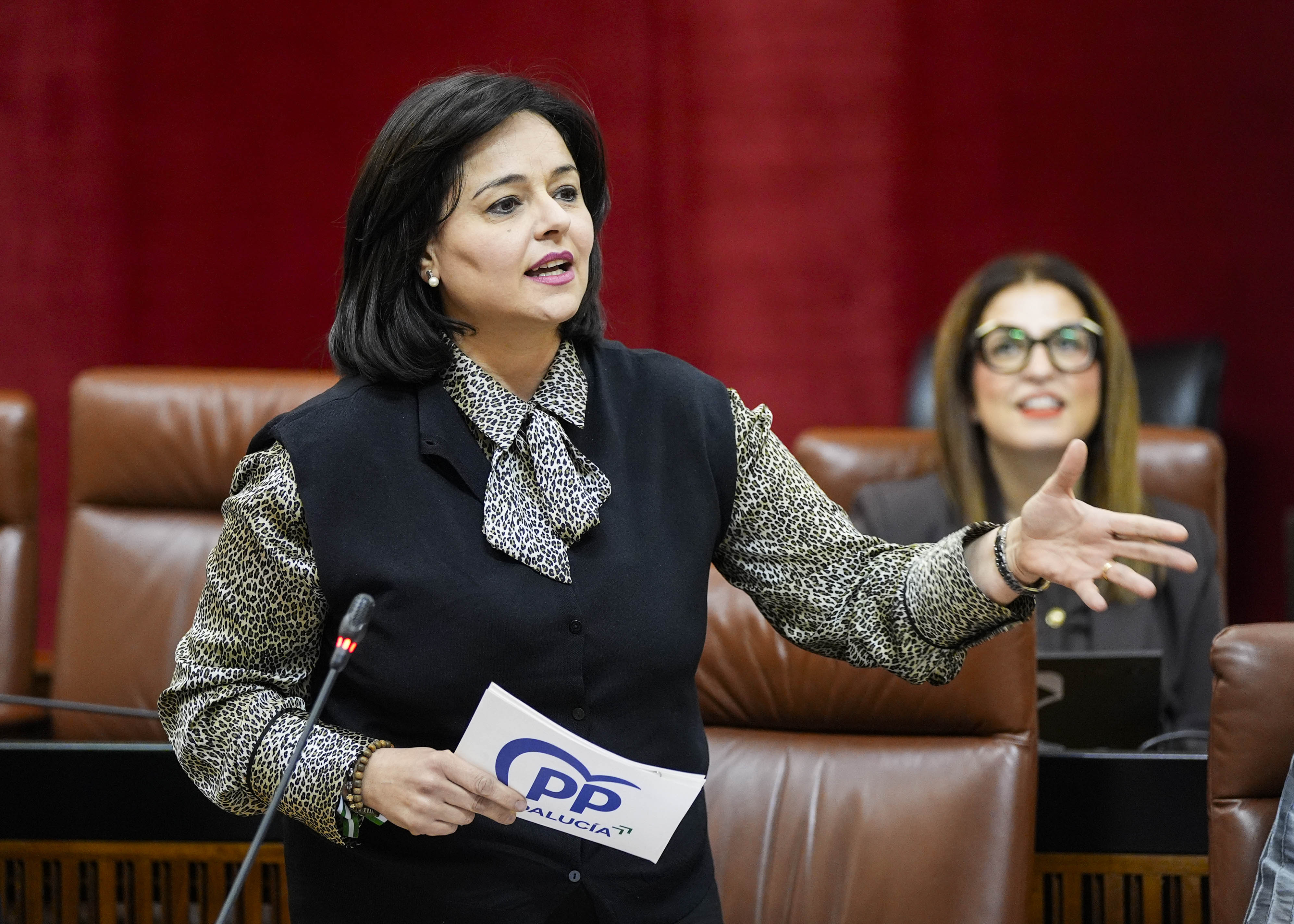 Por el Grupo Popular, Virginia P�rez pregunta sobre el covnenio colectivo VEIASA