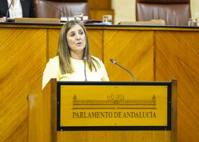 Irene Garc�a, del Grupo Socialista, defiende la solicitud de creaci�n de un Grupo de Trabajo relativo a reconstrucci�n de Andaluc�a  