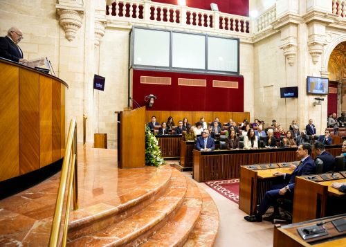  Los diputados atienden al discurso de Jes�s Aguirre