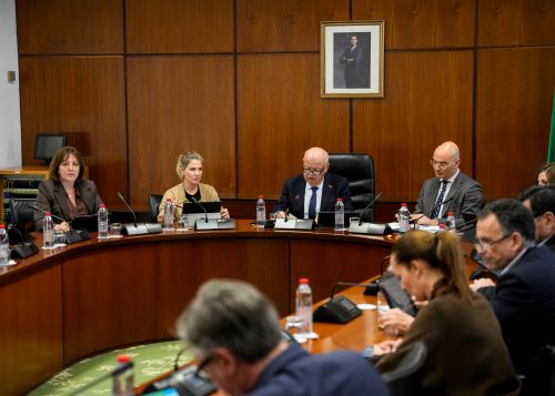  La Junta de Portavoces ha aprobado el orden del d�a de la pr�xima sesi�n plenaria 