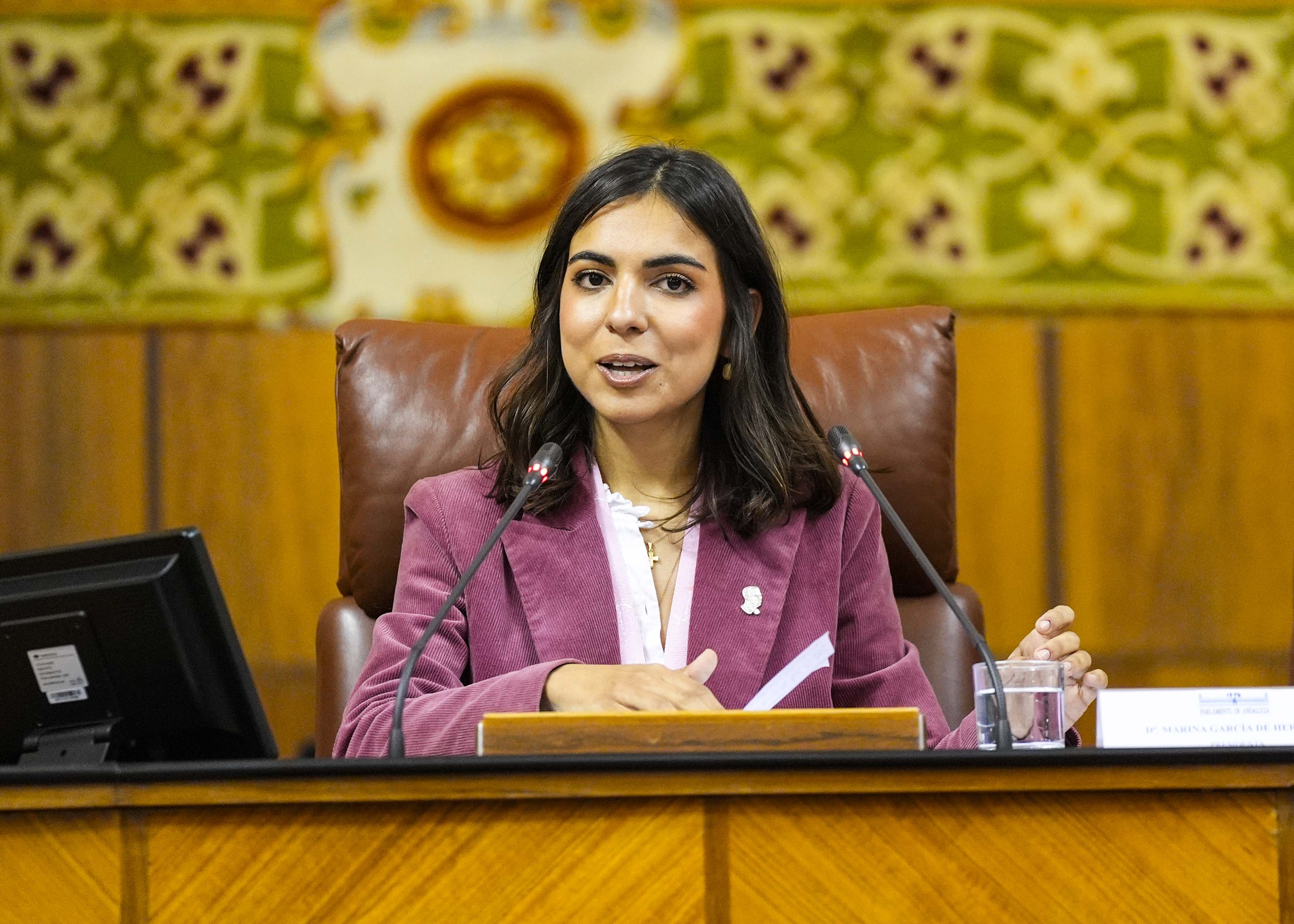  Marina Garc�a de Herrera, presidenta del Parlamento Simulado, dirige la sesi�n