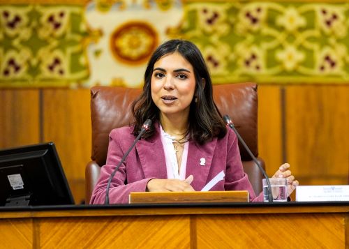  Marina Garc�a de Herrera, presidenta del Parlamento Simulado, dirige la sesi�n