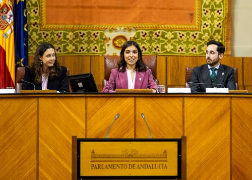  La presidenta del Parlamento Simulado, Marina Garc�a, preside la sesi�n junto a Helena Durban, vicepresidenta, y Antonio Mu�oz, director acad�mico de C�novas Fundaci�n