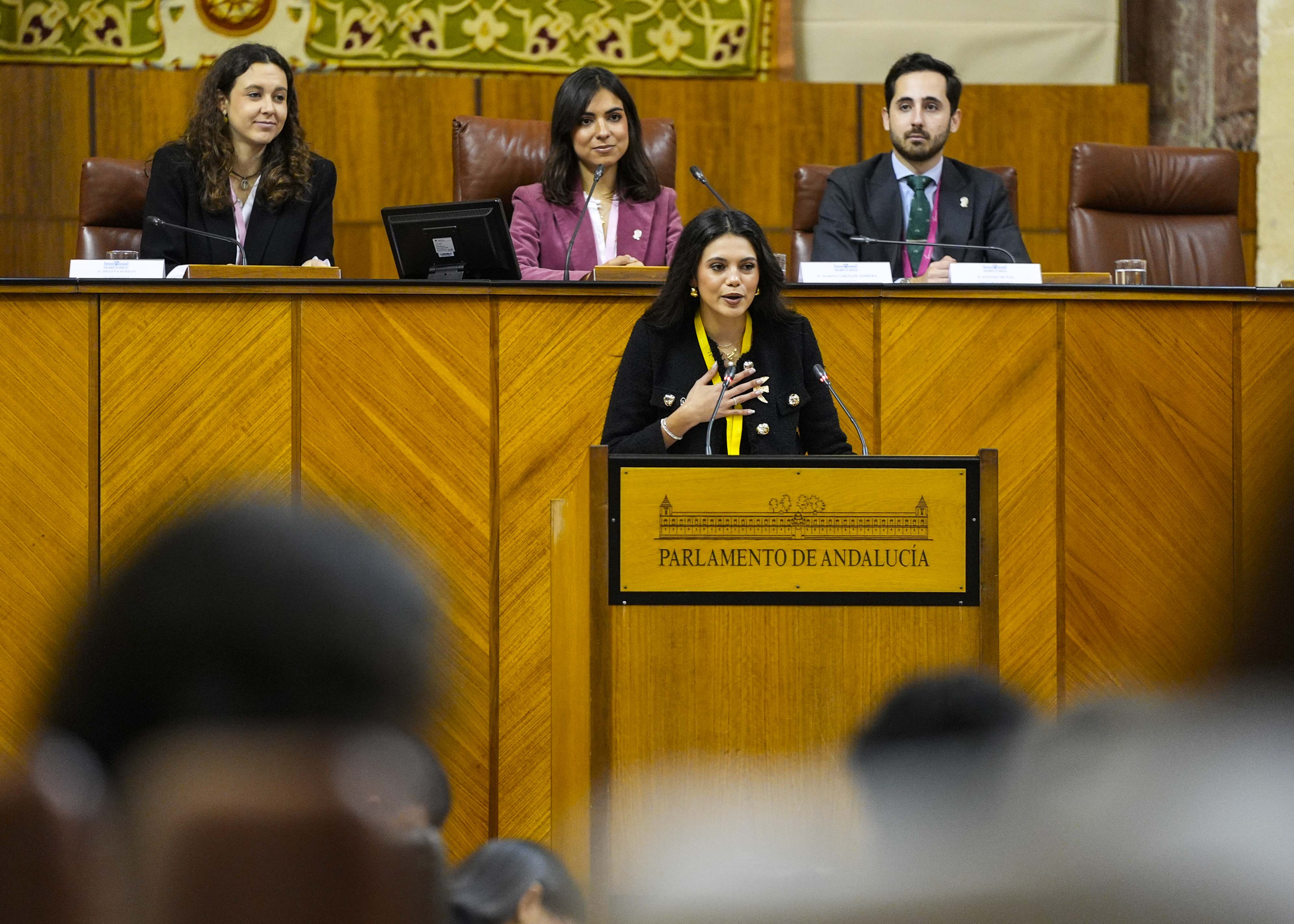 Los portavoces de los diferentes grupos responden a la intervenci�n de la presidenta